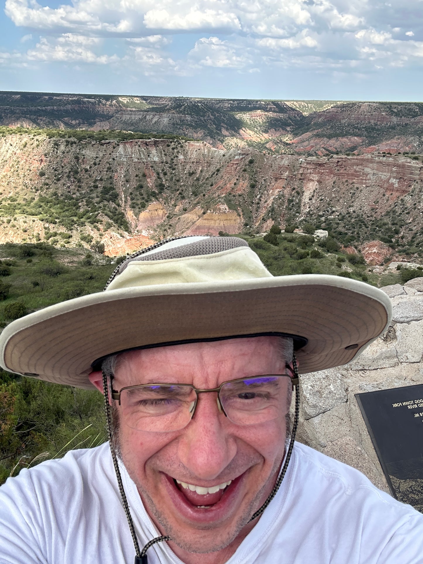 Person wearing a wide-brimmed hat with a scenic mountain landscape in the background